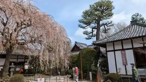 本満寺（本願満足寺）のその他建物