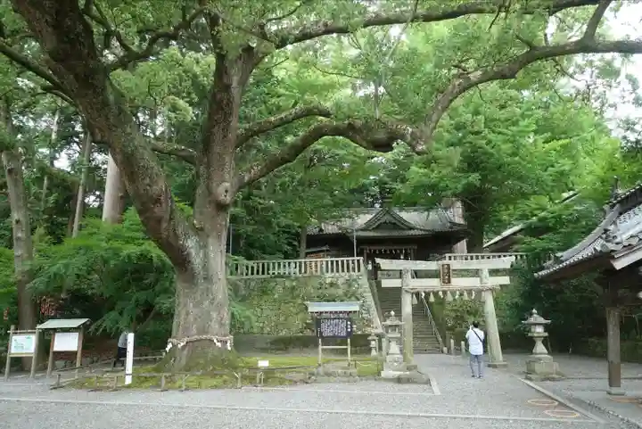 事任八幡宮の景色