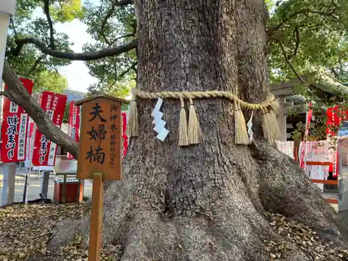 住吉大社の自然
