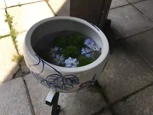 住吉神社の手水舎