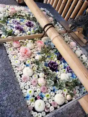 高円寺氷川神社の手水舎