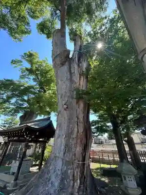 科野大宮社(長野県)