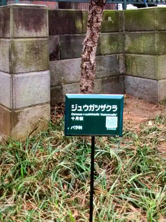 妙法寺(東京都)