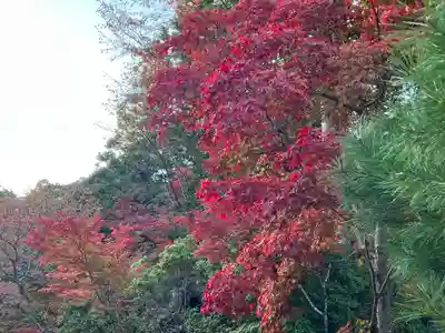 神護寺(京都府)