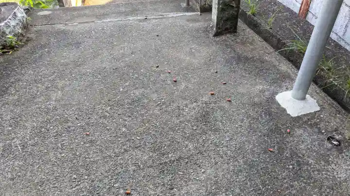金刀比羅神社(千葉県)