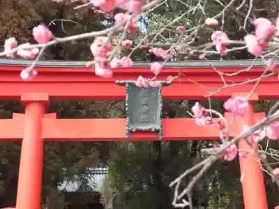 祝田神社の鳥居