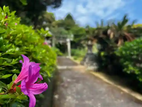六柱神社の自然