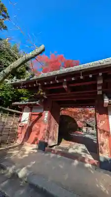 常照寺(京都府)