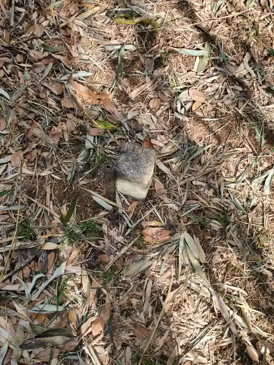 厳嶋神社(五十部町)(栃木県)