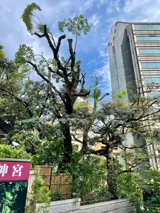 東京大神宮(東京都)