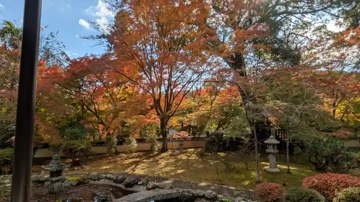 十輪寺(京都府)