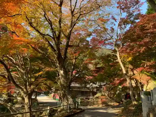 普門寺(切り絵御朱印発祥の寺)の自然