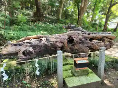 泉神社(茨城県)
