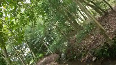 出雲大神宮の周辺