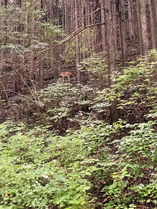 瀧尾神社(日光二荒山神社別宮)(栃木県)