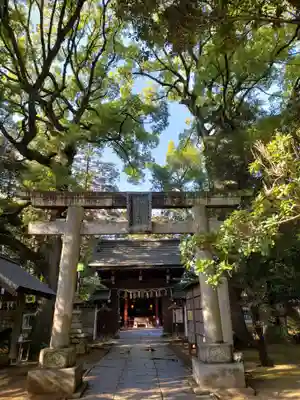 赤坂氷川神社(東京都)