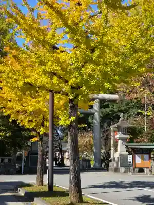 富山縣護國神社の{uncategorized: "未分類", other: "その他", undefined: "問題あり", building: "その他建物", grave: "お墓", sacred_gate: "鳥居", guardian: "狛犬", statue: "像", buddha: "仏像", history: "歴史", nature: "自然", garden: "庭園", animal: "動物", pagoda: "塔", temizu: "手水舎", mountain_gate: "山門・神門", sanctuary: "本殿・本堂", subordinate: "末社・摂社", art: "芸術", scenery: "景色", jizo: "地蔵", ema: "絵馬", goshuin: "御朱印", omikuji: "おみくじ", items: "授与品その他", amulet: "お守り", goshuincho: "御朱印帳", eats: "食事", festival: "お祭り", votive_dance: "神楽", shichigosan: "七五三参", wedding: "結婚式", experience: "体験その他", initially: "初詣", around: "周辺", anti_infection: "感染症対策"}