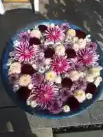 行田八幡神社の手水舎