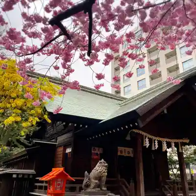 蔵前神社(東京都)