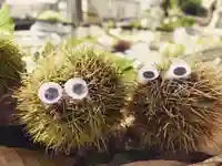 立志神社(滋賀県)