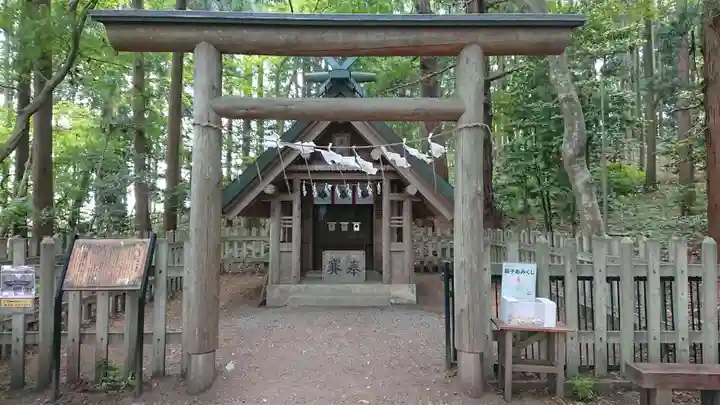 宝登山神社の鳥居