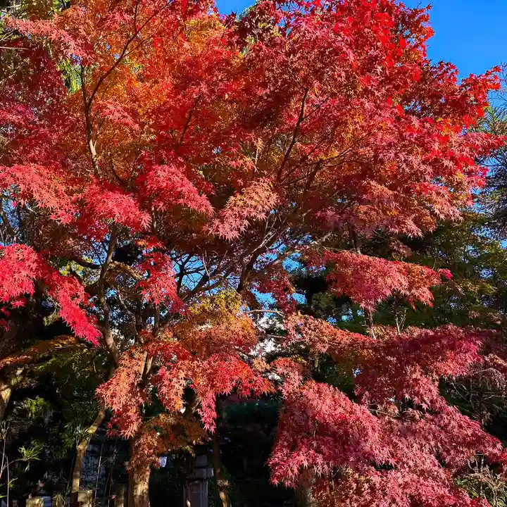 伊勢の国 四天王寺(三重県)