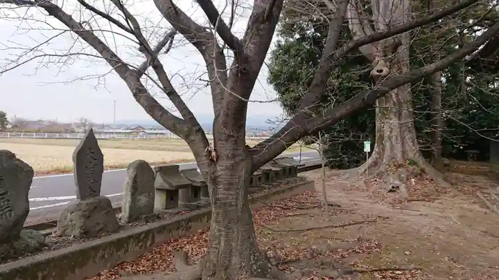 抜鉾神社の末社・摂社
