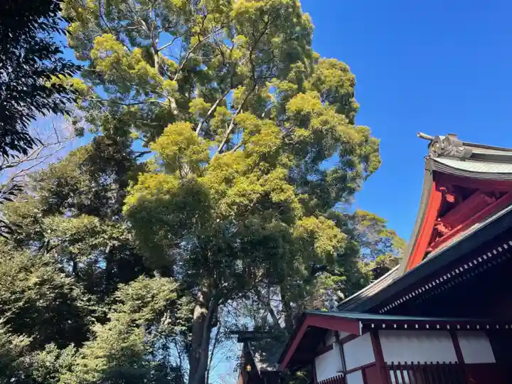 村富神社(神奈川県)