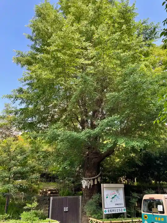 東郷神社の庭園