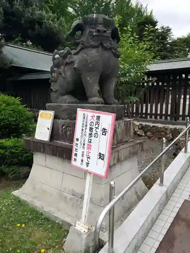 札幌護國神社の狛犬