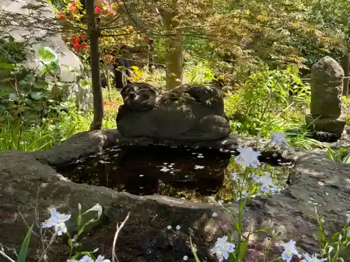 常泉寺(神奈川県)