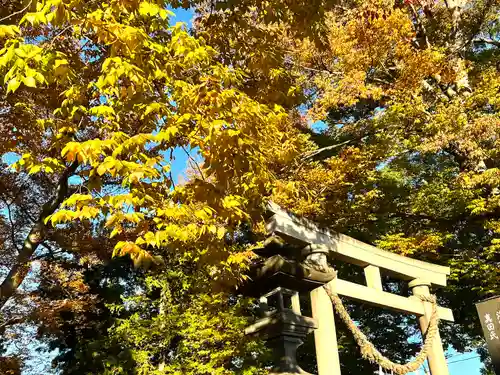 白鳥神社の鳥居