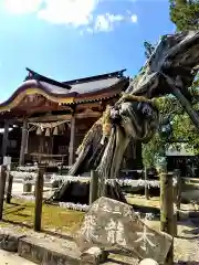 新北神社の建物その他