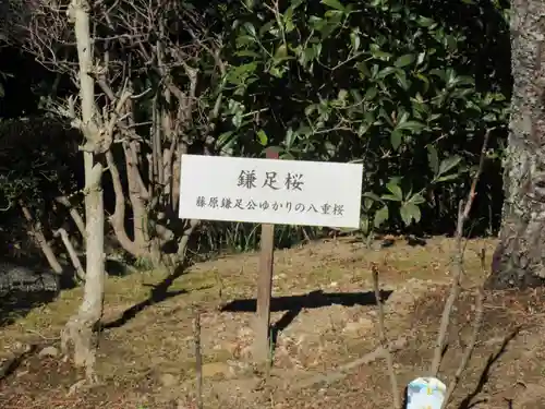 浄妙寺のその他建物