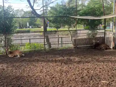相州春日神社(神奈川県)