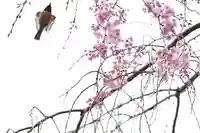 伊勢の国 四天王寺(三重県)