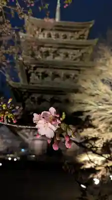 東寺（教王護国寺）(京都府)