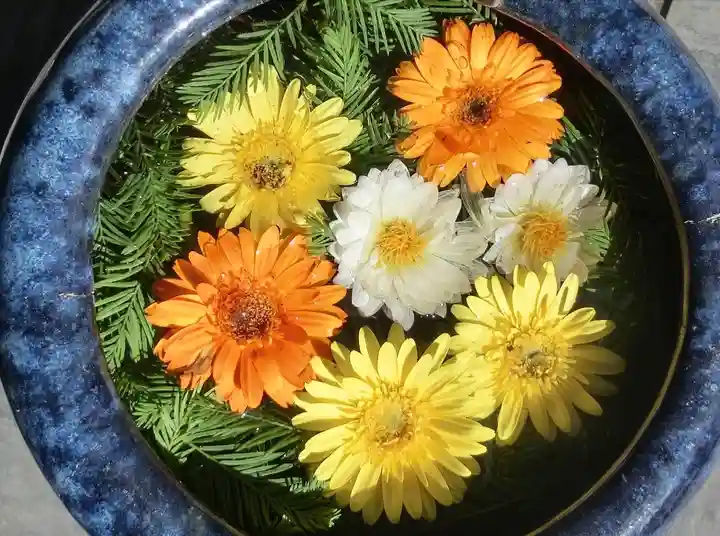 立志神社(滋賀県)