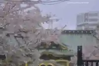 上野東照宮(東京都)