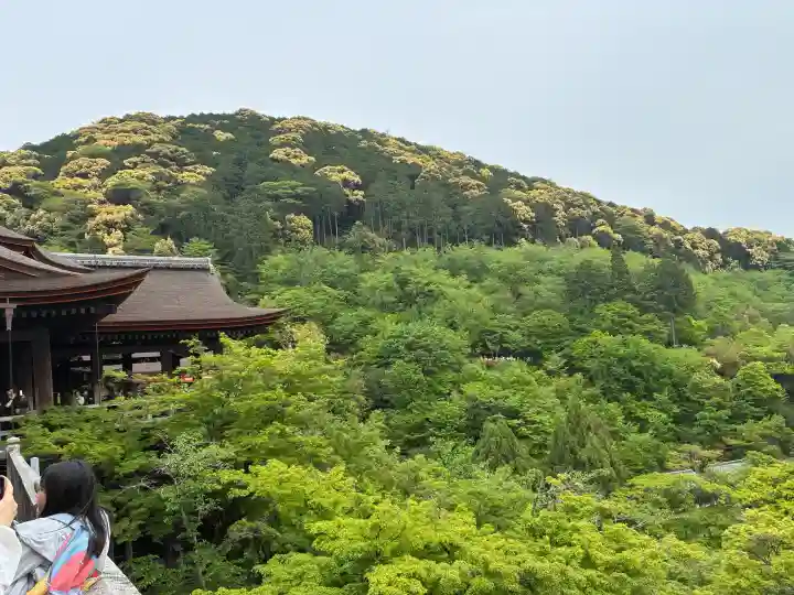 清水寺の{uncategorized: "未分類", other: "その他", undefined: "問題あり", building: "その他建物", grave: "お墓", sacred_gate: "鳥居", guardian: "狛犬", statue: "像", buddha: "仏像", history: "歴史", nature: "自然", garden: "庭園", animal: "動物", pagoda: "塔", temizu: "手水舎", mountain_gate: "山門・神門", sanctuary: "本殿・本堂", subordinate: "末社・摂社", art: "芸術", scenery: "景色", jizo: "地蔵", ema: "絵馬", goshuin: "御朱印", omikuji: "おみくじ", items: "授与品その他", amulet: "お守り", goshuincho: "御朱印帳", eats: "食事", festival: "お祭り", votive_dance: "神楽", shichigosan: "七五三参", wedding: "結婚式", experience: "体験その他", initially: "初詣", around: "周辺", anti_infection: "感染症対策"}