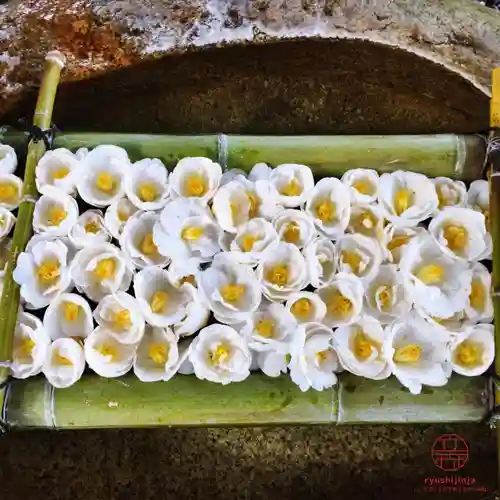 立志神社(滋賀県)