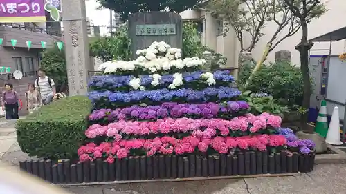 白山神社の庭園