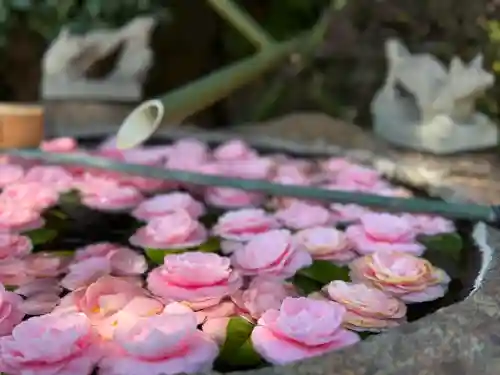 東京羽田 穴守稲荷神社の{uncategorized: "未分類", other: "その他", undefined: "問題あり", building: "その他建物", grave: "お墓", sacred_gate: "鳥居", guardian: "狛犬", statue: "像", buddha: "仏像", history: "歴史", nature: "自然", garden: "庭園", animal: "動物", pagoda: "塔", temizu: "手水舎", mountain_gate: "山門・神門", sanctuary: "本殿・本堂", subordinate: "末社・摂社", art: "芸術", scenery: "景色", jizo: "地蔵", ema: "絵馬", goshuin: "御朱印", omikuji: "おみくじ", items: "授与品その他", amulet: "お守り", goshuincho: "御朱印帳", eats: "食事", festival: "お祭り", votive_dance: "神楽", shichigosan: "七五三参", wedding: "結婚式", experience: "体験その他", initially: "初詣", around: "周辺", anti_infection: "感染症対策"}