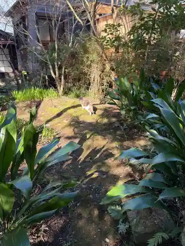 かっぱの寺 栖足寺(静岡県)