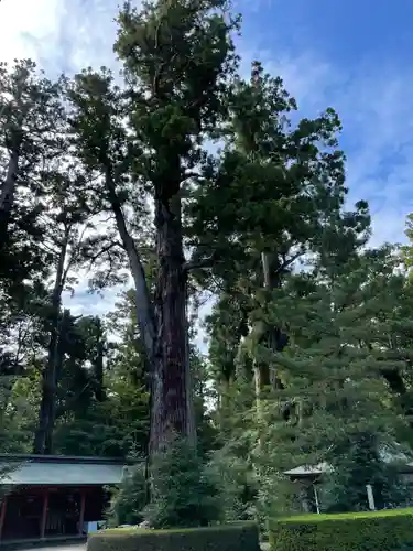 香取神宮(千葉県)