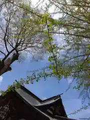 賀羅加波神社の自然