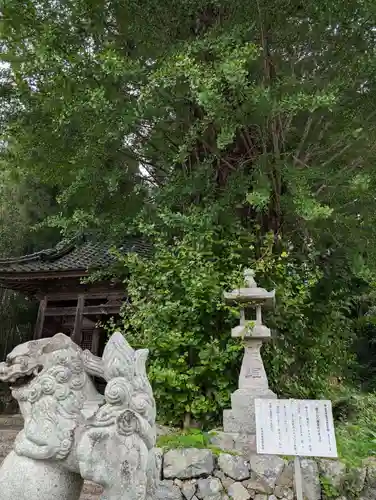 獅子山八幡宮(岡山県)