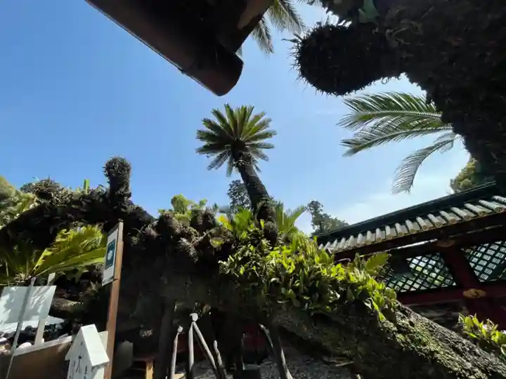 久能山東照宮(静岡県)