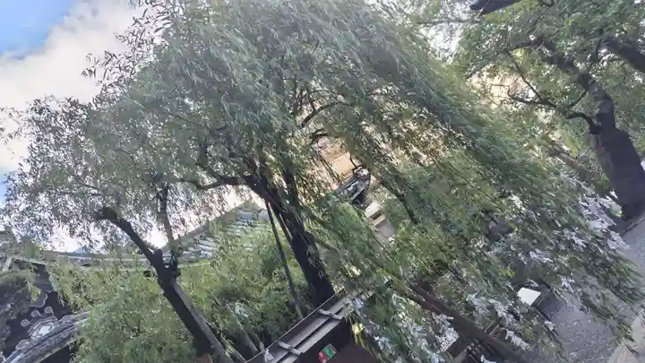 頂法寺(六角堂)(京都府)