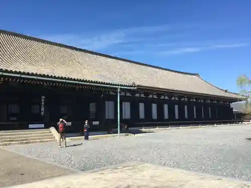 蓮華王院（三十三間堂）(京都府)